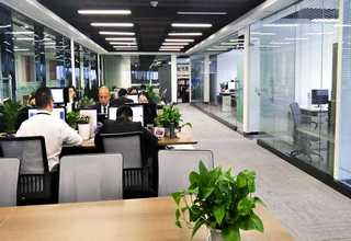 福建辊压型压盖机厂家报价